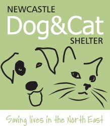 Newcastle Dog and Cat Shelter - Benton 